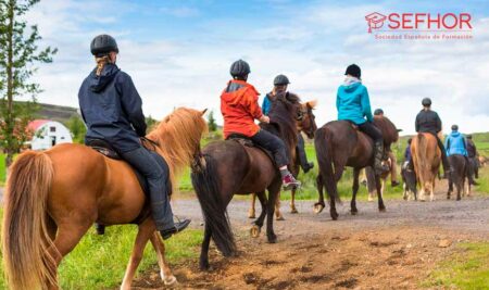 ¿Qué es la equinoterapia y cuáles son sus beneficios?
