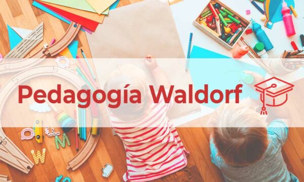 Pedagogía Waldorf: Proceso Educativo Y Ventajas | Sefhor