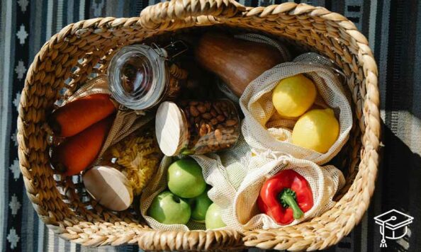 Tipos de nutrientes