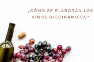 Los vinos biodinámicos siguen los principios de la agricultura biodinámica